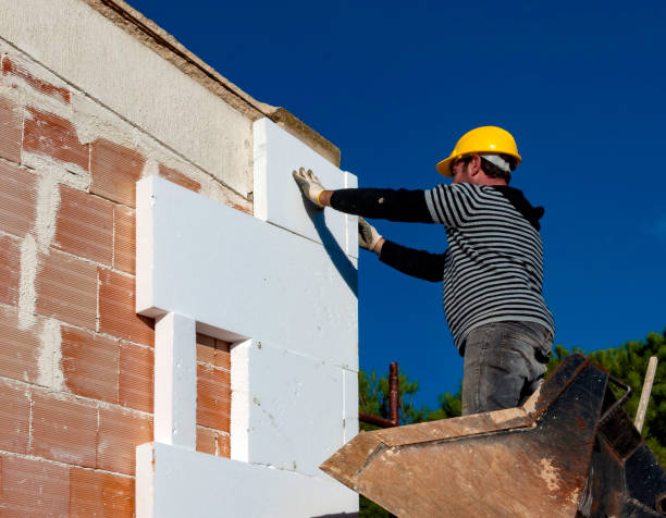 Best Attic Insulation Installation  in Port Lavaca, TX