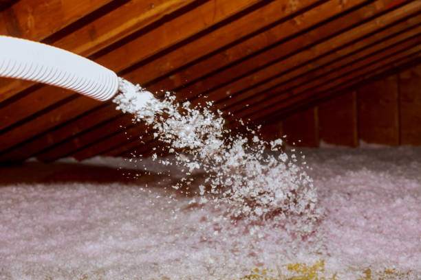 Best Local Insulation Services  in Port Lavaca, TX