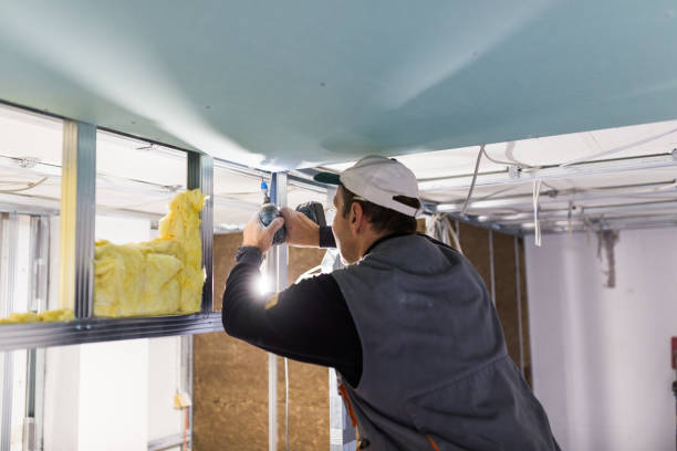 Best Garage Insulation Installation  in Port Lavaca, TX