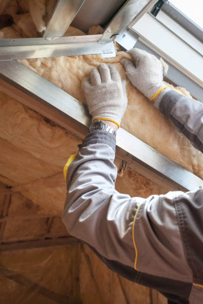 Insulation Repair Services in Port Lavaca, TX