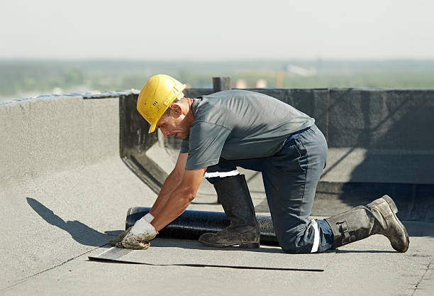 Best Spray Foam Insulation  in Port Lavaca, TX