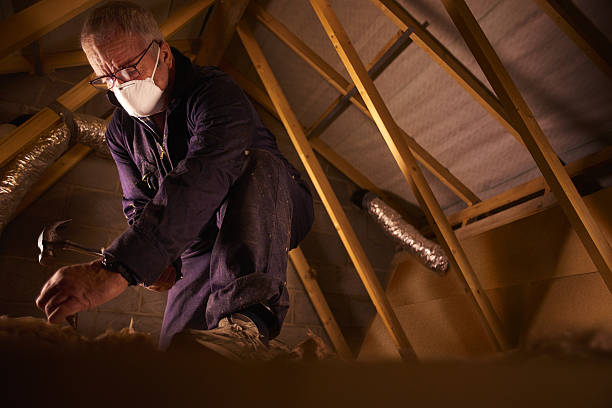 Best Wall Insulation Contractor  in Port Lavaca, TX